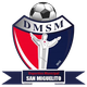圣米格利托市logo