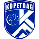 科佩达格logo