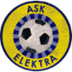 艾丽卡logo
