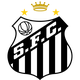 塞舌桑托斯logo