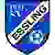 SV埃斯林logo