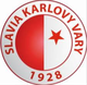 卡罗维瓦利B队logo