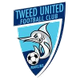 特威德后备队logo