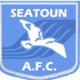 西頓AFC女足logo